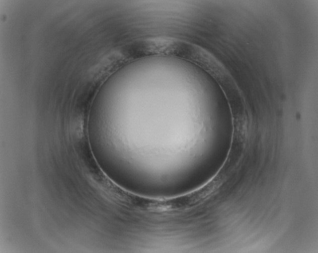 X0000068730602200604281140