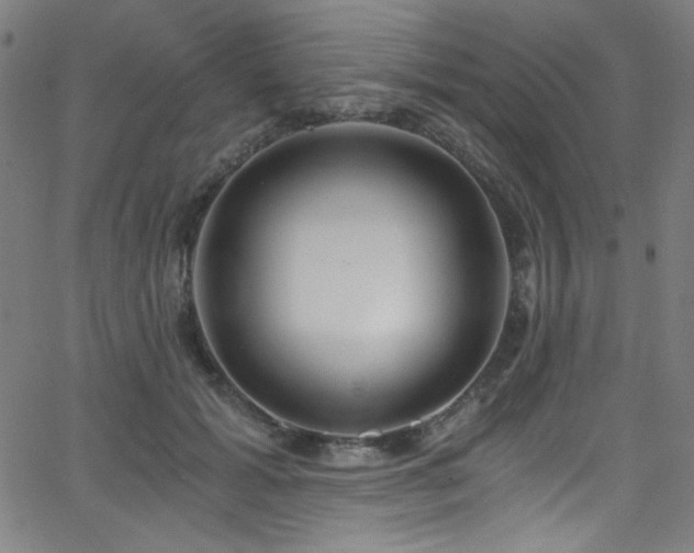 X0000068730605200604281140