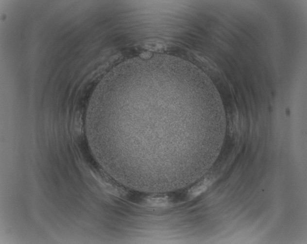 X0000068730606200604281140