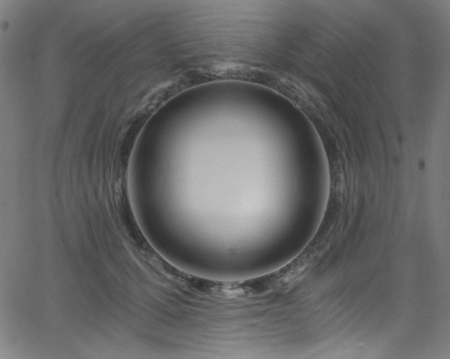 X0000068730607200604281140