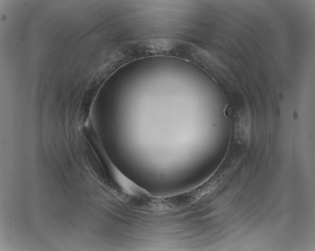 X0000068730608200604281140
