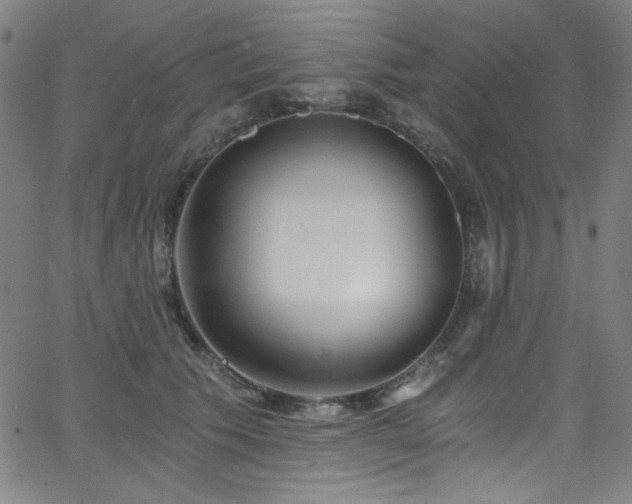 X0000068730609200604281140