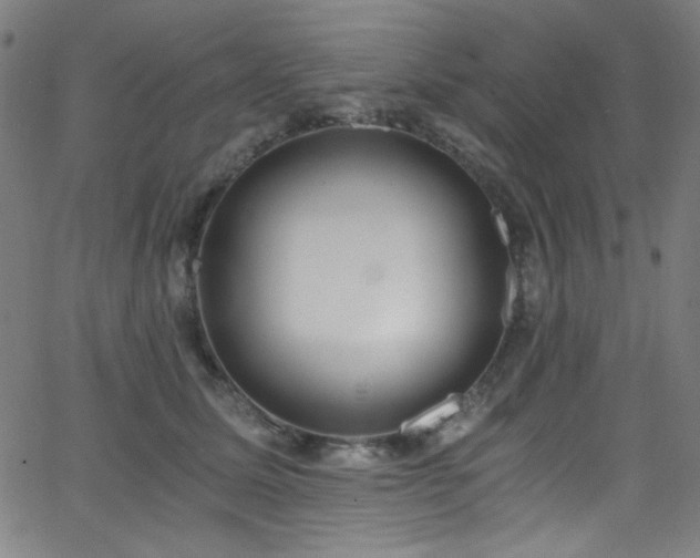 X0000068730611200604281140