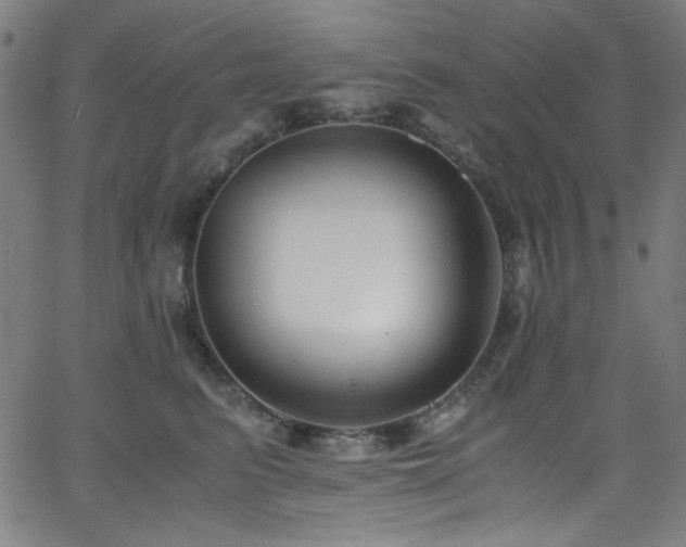 X0000068730615200604281140