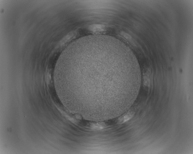 X0000068730618200604281140