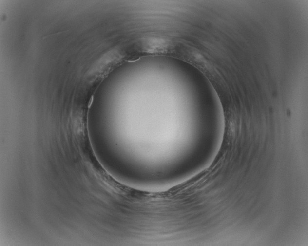 X0000068730620200604281140