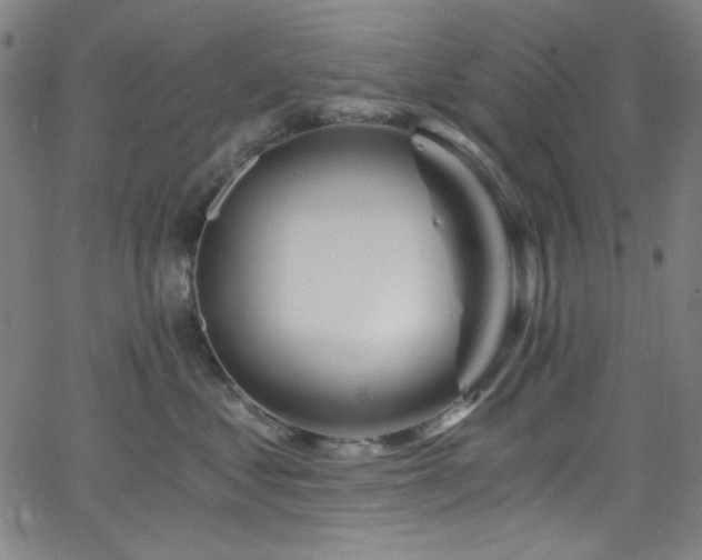 X0000068730621200604281140