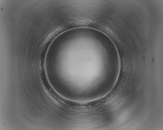 X0000068730634200604281139