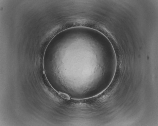 X0000068730637200604281140