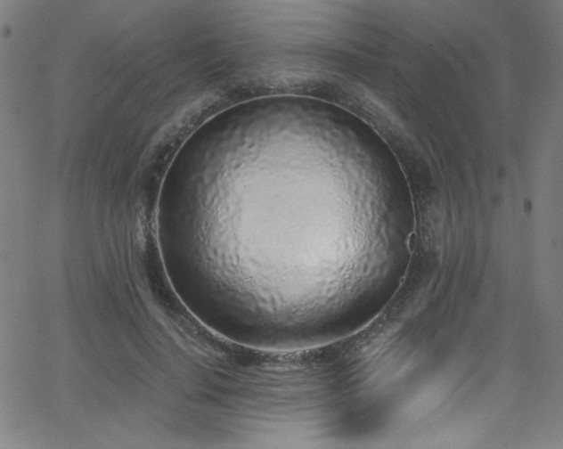 X0000068730644200604281140