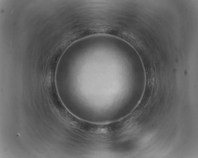 X0000068730647200604281140