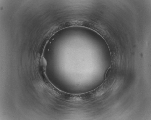 X0000068730649200604281140