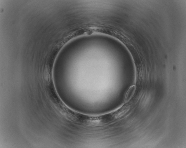 X0000068730651200604281140