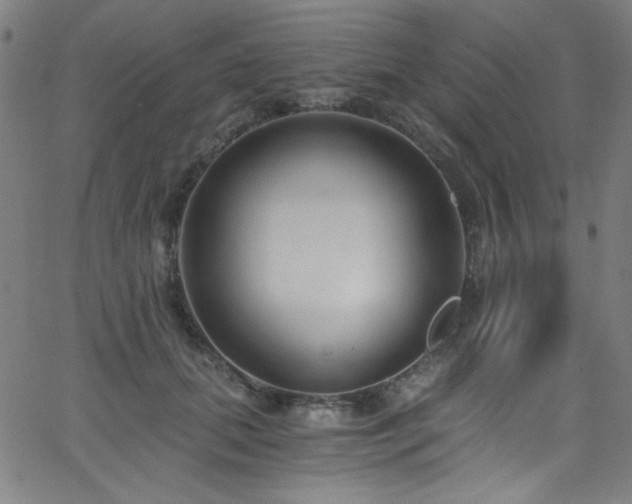 X0000068730655200604281140