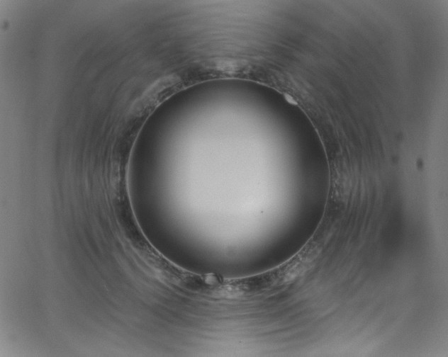 X0000068730656200604281140