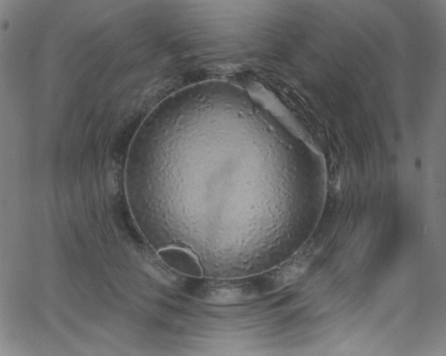 X0000068730658200604281140