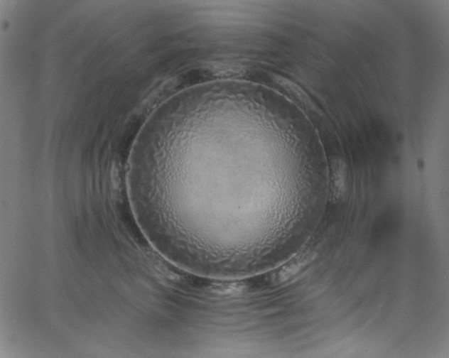 X0000068730667200604281140