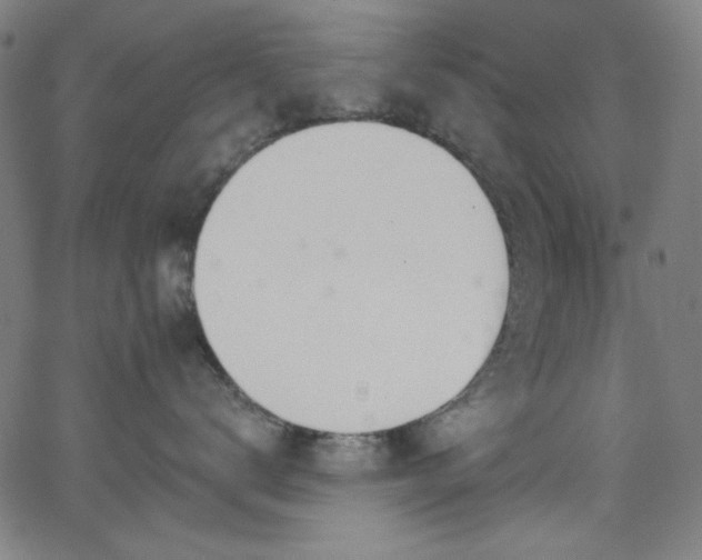 X0000068730672200604281140