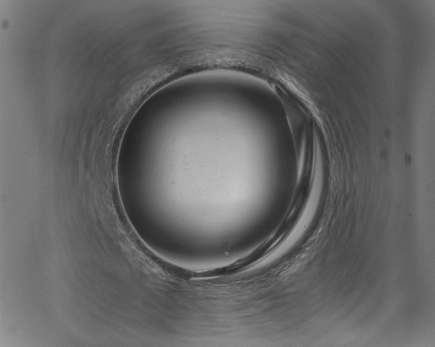 X0000068730673200604281139