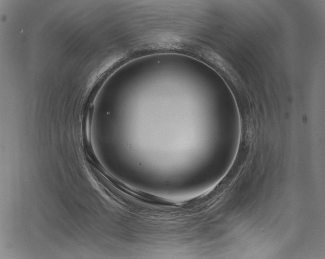 X0000068730677200604281139