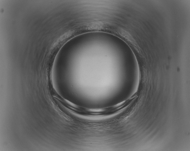 X0000068730681200604281139