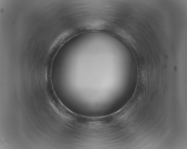 X0000068730686200604281139