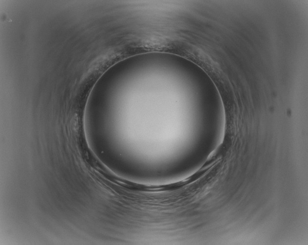 X0000068730689200604281139