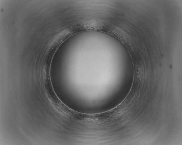 X0000068730690200604281139