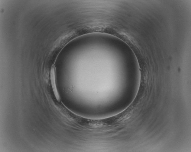 X0000068730693200604281139
