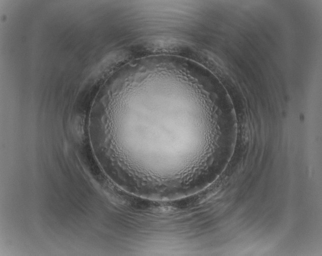 X0000068730695200604281139