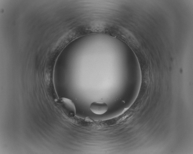 X0000068730697200604281139