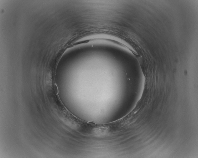 X0000068730700200604281139