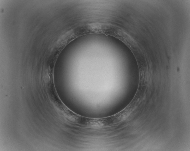 X0000068730702200604281139