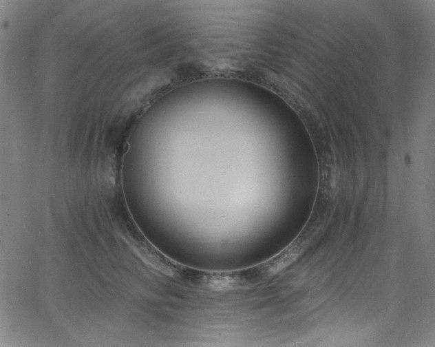 X0000068730710200604281139