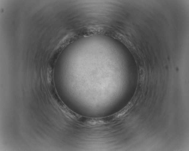 X0000068730712200604281139