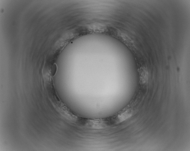 X0000068730713200604281139