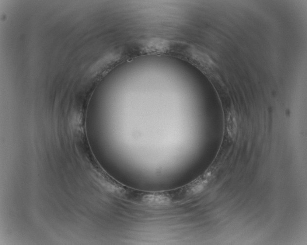 X0000068730714200604281139