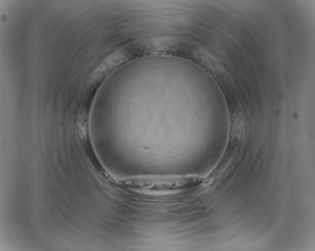 X0000068730719200604281139