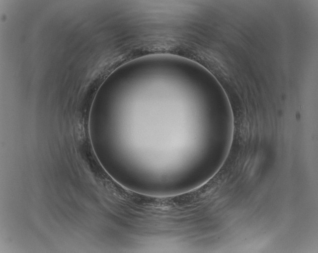 X0000068730743200604281138