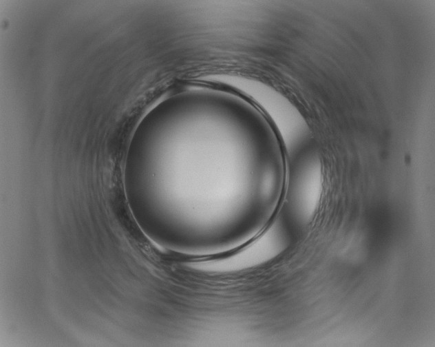 X0000068730750200604281138