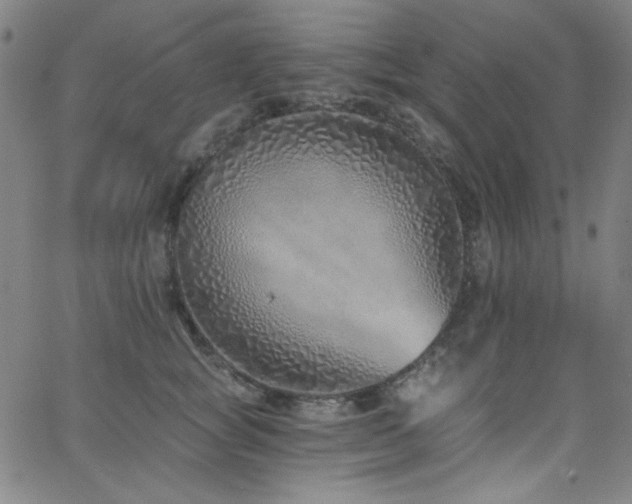 X0000068730757200604281138