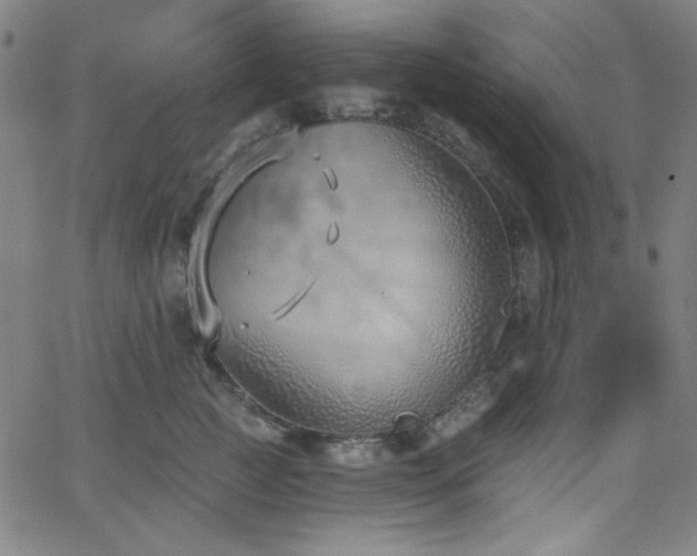 X0000068730761200604281138