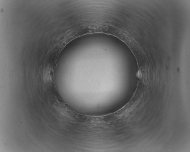 X0000068730770200604281138