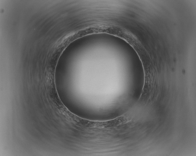 X0000068730773200604281138
