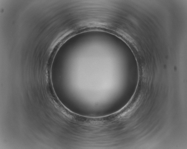 X0000068730782200604281137