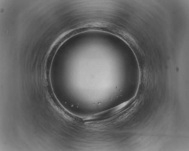 X0000068730784200604281137