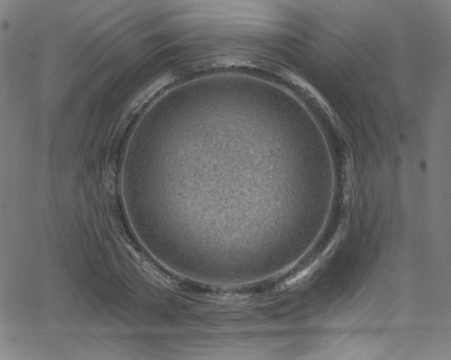 X0000068730785200604281137