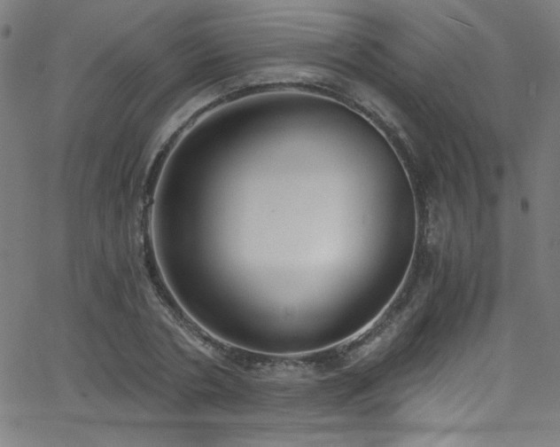 X0000068730786200604281137
