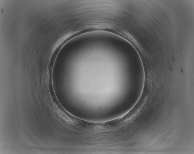 X0000068730787200604281137
