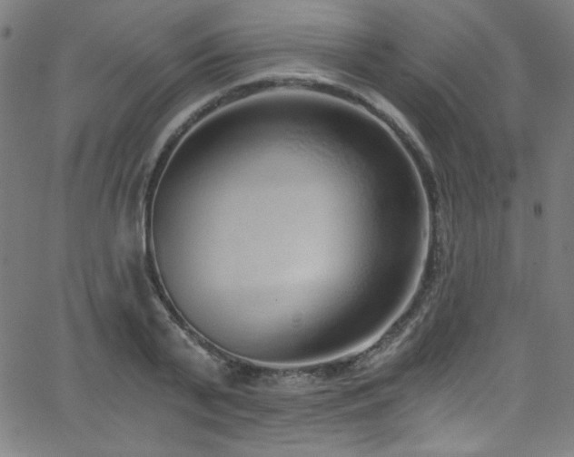 X0000068730791200604281137